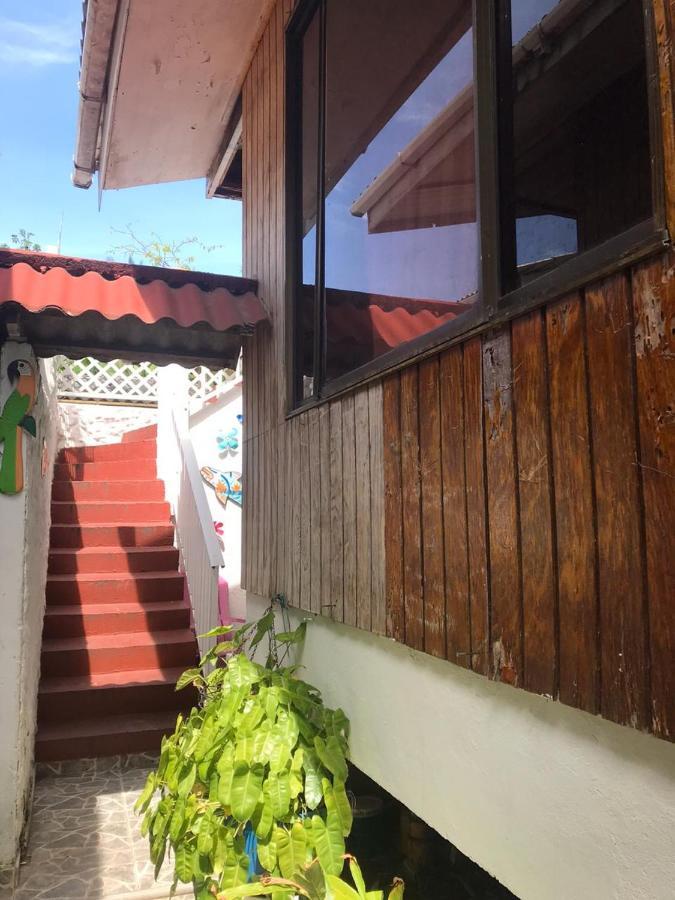 Guest house Acacias Tree